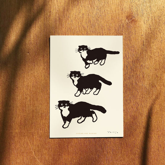 [ Huginn&Muninn ] Postcard - Modaeri03