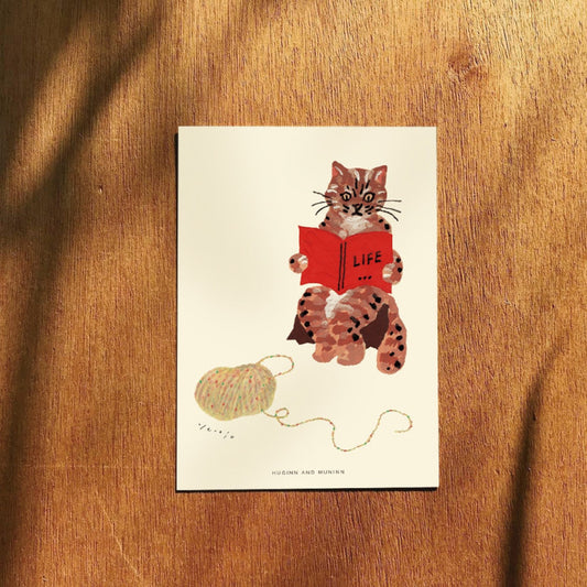 [ Huginn&Muninn ] Postcard - Wild cat